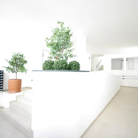 Livingtarifa Iceberg